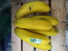 Plátano Canario - (1kilo)