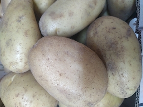 Patatas de Sanlúcar