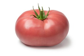 Tomate Guachi (Pieza 250 gr aprox.)