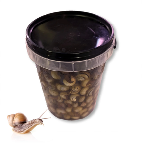 Caracoles 1kg "Bote" *SOLO EN TEMPORADA