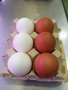 Huevos de granja (Media docena)