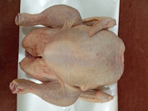 Pollo entero (Pieza 2,5 kg aprox)