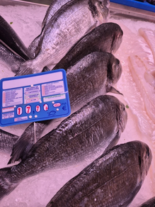 Dorada (Pieza 600 gr aprox.)