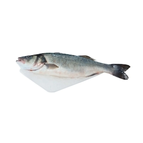 Lubina (Pieza 600 gr aprox)