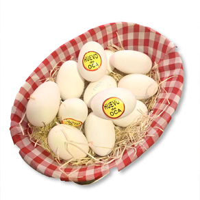 Huevo de OCA (Unidad)