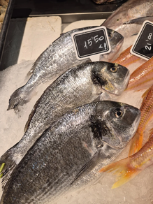 Dorada (Pieza 600 gr aprox.)