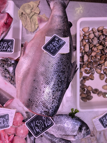 Salmón (Corte 500 gr aprox.)