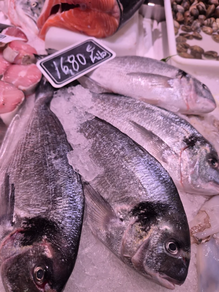 Dorada (Pieza 600 gr aprox.)