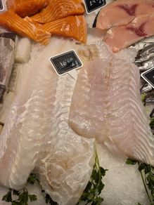 Corvina (Corte 500 gr aprox.)