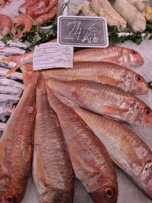 Salmonete (Pieza 300 gr aprox.)