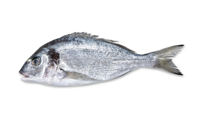 Dorada estero Andalucía (600 gr aprox)