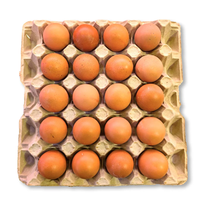 Huevos XXL Cartón 20 Huevos