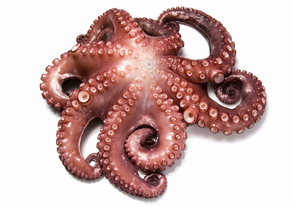 Pulpo (Ración 250 gr aprox)