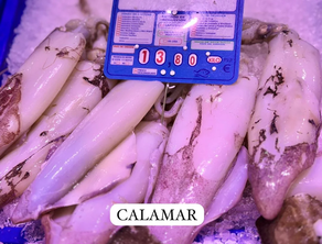 Calamar (Pieza 600 gr aprox)