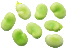 Haba (Ración 250 gr aprox)