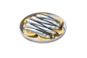 Anchoa del Cantábrico Don Bocarte (Lata 6 filetes grandes)