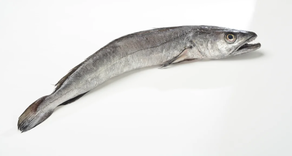 Pescadilla (Pieza 700 gr)