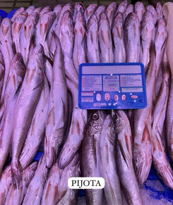 Pijota (Ración 250 gr aprox)