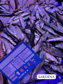 Sardina (Ración 250 gr aprox)