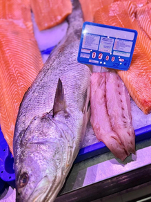 Corvina (Pieza 600 gr aprox)