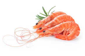 Langostino Cocido (Ración 250 gr aprox)