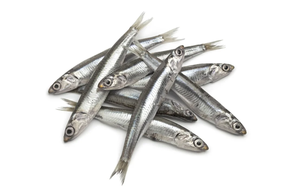 Boquerón (250 gr aprox)