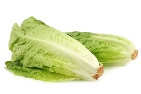 Lechuga romanilla (Pieza)