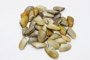 Coquina de Huelva (Ración 250 gr aprox)