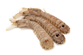 Galera (Ración 500 gr)