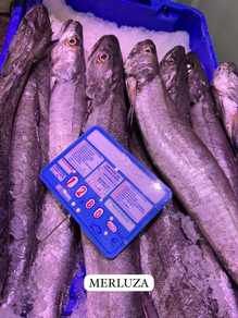 Merluza (Pieza 600 gr aprox)