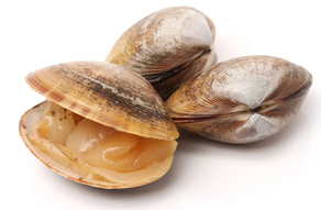 Almeja Carril (Ración 250 gr aprox)