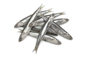 Boquerón (Ración 250 gr aprox)