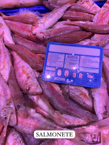 Salmonete (Pieza 600 gr aprox)