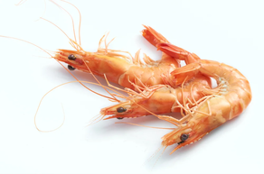 Gamba (Ración 500 gr)